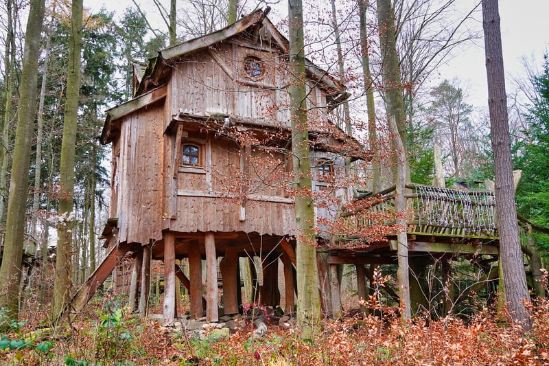 Treetop Hideaway
